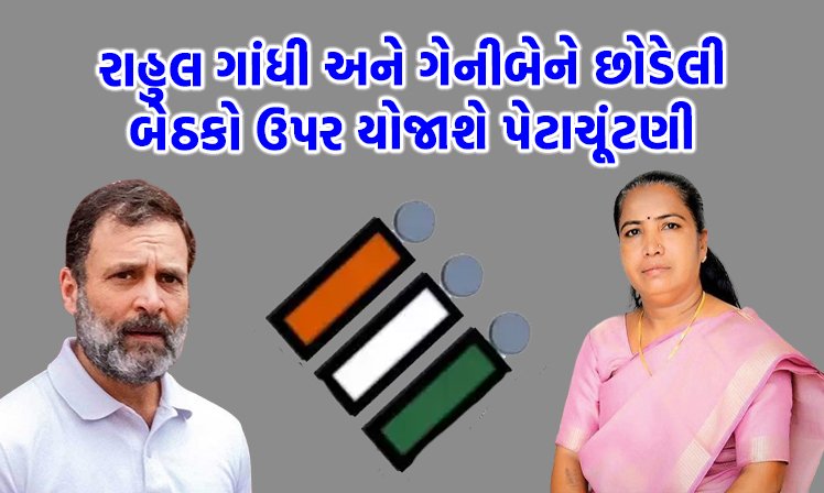 <span class="nnColorfulPostColor" style="color:rgb(0,0,0,1)">રાહુલ ગાંધી અને ગેનીબેને છોડેલી બેઠકો ઉપર યોજાશે પેટાચૂંટણી : કઈ સીટ પર ક્યારે થશે મતદાન, જુઓ સંપૂર્ણ યાદી</span>