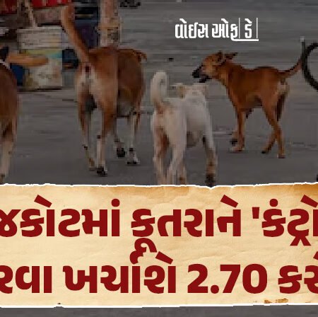 <span class="nnColorfulPostColor" style="color:rgb(0,0,0,1)">રાજકોટમાં કૂતરાને ‘કંટ્રોલ’ કરવા ખર્ચાશે 2.70 કરોડ : પાલતુ શ્વાનનું કરાવવું પડશે રજિસ્ટ્રેશન, હાલ 26,000 શ્વાનનો વસવાટ</span>