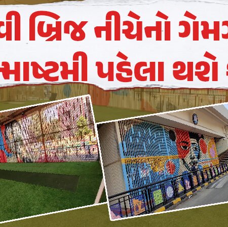 <span class="nnColorfulPostColor" style="color:rgb(0,0,0,1)">બોક્સ ક્રિકેટ 400, સ્નૂકર 100 રૂપિયા…રાજકોટના કેકેવી બ્રિજ નીચેનો ગેમઝોન જન્માષ્ટમી પહેલા થશે શરૂ</span>