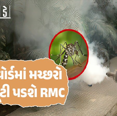 <span class="nnColorfulPostColor" style="color:rgb(0,0,0,1)">કાલથી દરેક વોર્ડમાં મચ્છરો ઉપર તૂટી પડશે રાજકોટ મહાપાલિકા! વોર્ડ નંબર-1થી ‘વારો’ લેવાનું શરૂ</span>
