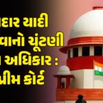 <span class="nnColorfulPostColor" style="color:rgb(0,0,0,1)">રાજકોટના બેડીપરામાં નવું ફાયર સ્ટેશન, રેલનગરમાં શાક માર્કેટ બનાવવામાં કોઈને રસ નથી !</span>