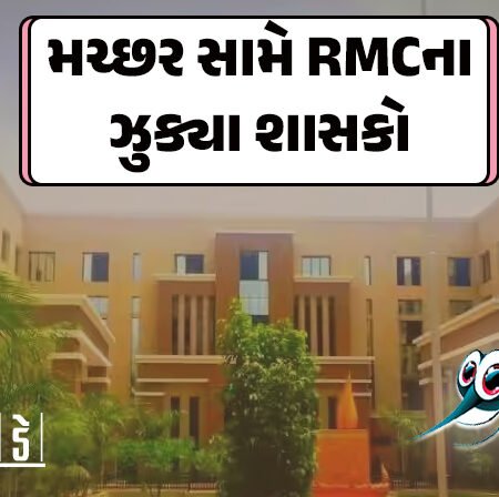 <span class="nnColorfulPostColor" style="color:rgb(0,0,0,1)">મચ્છર સામે RMCના ઝુક્યા શાસકોઃ દંડમાં 5 ગણો ઘટાડો ! મચ્છરના પોરા મળશે તો વસૂલાશે આટલો દંડ</span>