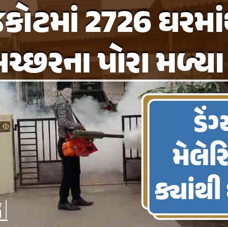 <span class="nnColorfulPostColor" style="color:rgb(0,0,0,1)">ડેંગ્ય-મેલેરિયા ક્યાંથી ઘટે? રાજકોટમાં 2726 ઘરમાંથી મચ્છરના પોરા મળ્યા,476 ઘરને નોટિસ ફટકારાઇ</span>