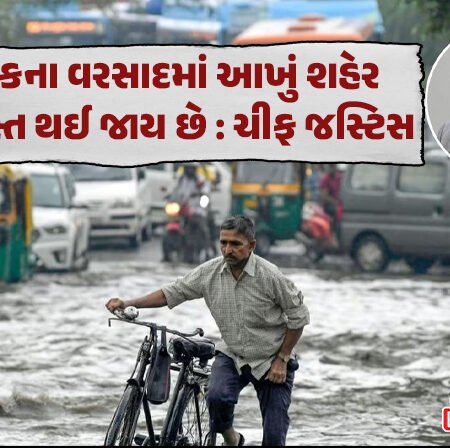 <span class="nnColorfulPostColor" style="color:rgb(0,0,0,1)">બે કલાક વરસાદમાં તો દિલ્હી લકવાગ્રસ્ત થઇ જાય છે : ચીફ જસ્ટિસે કરી તીખી ટિપ્પણી, NHAIની ઝાટકણી કાઢી</span>