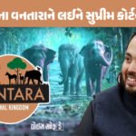 <span class="nnColorfulPostColor" style="color:rgb(0,0,0,1)">રાજકોટમાં 13 વર્ષની બાળકીને ફસાવી નોનવેજના ધંધાર્થીએ આચર્યું દુષ્કર્મ : રાત્રે 3 વાગ્યે પોતાના ઘરે લઈ જઈ શારીરિક સંબંધ બાંધ્યો</span>