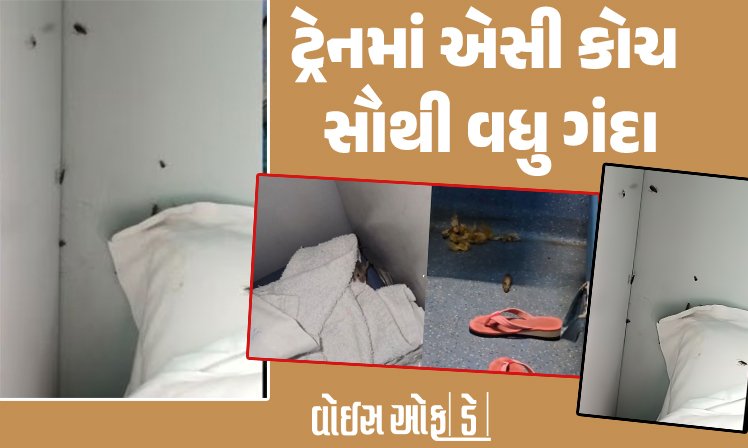 <span class="nnColorfulPostColor" style="color:rgb(0,0,0,1)">ટ્રેનમાં એસી કોચ સૌથી વધુ ગંદા : 15 હજાર ફરિયાદ તો માત્ર જીવજંતુની,કેગના રીપોર્ટમાં રેલવેનું સત્ય થયું છતુ</span>