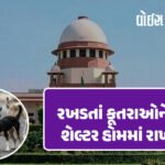 <span class="nnColorfulPostColor" style="color:rgb(0,0,0,1)">કાળજું કંપાવતી ઘટના : રક્ષાબંધનના દિવસે જ ભાઈ કાળ બન્યો,પહેલા રાખડી બંધાવી અને પછી સગી બહેનની કરી હત્યા</span>