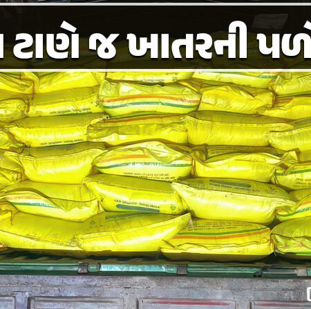 <span class="nnColorfulPostColor" style="color:rgb(0,0,0,1)">સીઝન ટાણે જ ખાતરની પળોજણ : ચાર ડીલરના લાયસન્સ સસ્પેન્ડ, ખેતીવાડી શાખાનું આકરૂ પગલું</span>