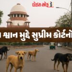 <span class="nnColorfulPostColor" style="color:rgb(0,0,0,1)">જેલમાંથી સરકાર નહીં ચાલે : મોદીનો ધ્રુજારો, વિપક્ષો પર બોલાવી તડાપીટ</span>