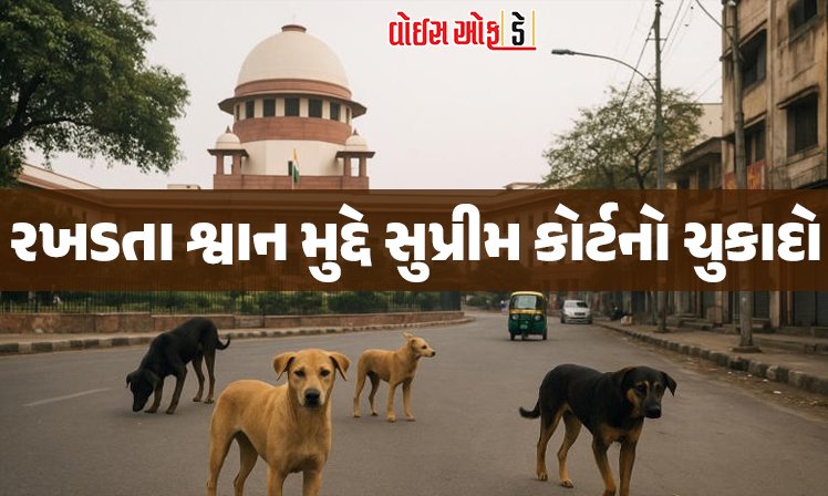 <span class="nnColorfulPostColor" style="color:rgb(0,0,0,1)">રઝળતા શ્વાનોને નસબંધી અને રસીકરણ બાદ મૂળ વિસ્તારમાં પાછા મૂકવા સુપ્રીમ કોર્ટનો આદેશ</span>
