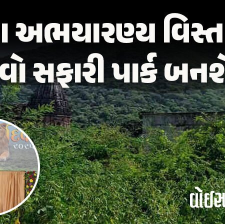 <span class="nnColorfulPostColor" style="color:rgb(0,0,0,1)">બરડા અભયારણ્ય વિસ્તારમાં રૂ.75 કરોડના ખર્ચે નવો સફારી પાર્ક બનશે : મુખ્યમંત્રી ભુપેન્દ્રભાઈ પટેલે કરી જાહેરાત</span>