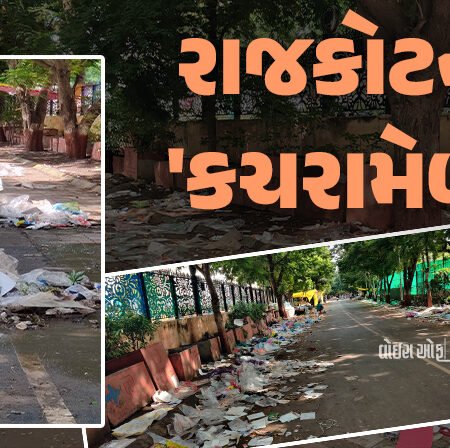<span class="nnColorfulPostColor" style="color:rgb(0,0,0,1)">રાજકોટનો ‘કચરામેળો’: 93000 કિલો કચરો કાઢ્યો છતાં હજુ ઢગલાં યથાવત, રેસકોર્સ ફરતે ચીતરી ચડી જાય તેવો કચરો</span>