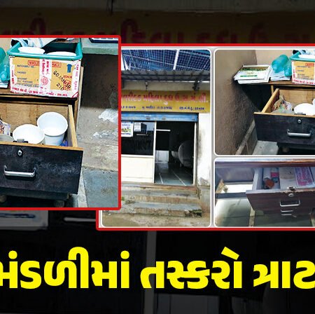 <span class="nnColorfulPostColor" style="color:rgb(0,0,0,1)">રાજકોટની ગવરીદડ દૂધ મંડળીમાં તસ્કરો ત્રાટકયા : રોકડા 1.65 લાખ અને DVRની ચોરી, જાણભેદુ જ ચોર હોવાની આશંકા</span>