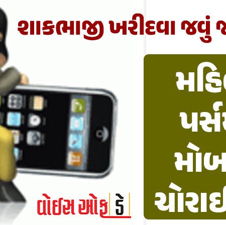 <span class="nnColorfulPostColor" style="color:rgb(0,0,0,1)">શાકભાજી ખરીદવા જવું જોખમી? રાજકોટમાં સહકારનગર મેઈન રોડ પર મહિલાના પર્સમાંથી મોબાઈલ ચોરાઈ ગયો</span>