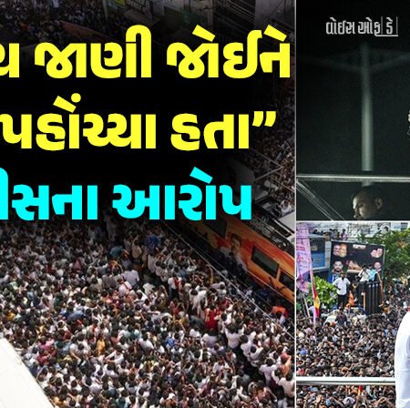 <span class="nnColorfulPostColor" style="color:rgb(0,0,0,1)">‘વિજય જાણી જોઈને મોડા પહોંચ્યા હતા જેના લીધે…’ પોલીસે કરુરમાં થયેલી ભાગદોડ માટે TVKના ચીફને જવાબદાર ગણાવ્યા</span>