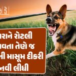 <span class="nnColorfulPostColor" style="color:rgb(0,0,0,1)">મોદી-મેલોની ફરી ચર્ચામાં : ઇટલીના વડાપ્રધાનની આત્મકથામાં નરેન્દ્ર મોદીએ પ્રસ્તાવનામાં લખ્યું કઇંક આવું</span>