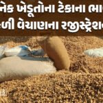 <span class="nnColorfulPostColor" style="color:rgb(0,0,0,1)"> ‘યા અલી’ ફેમ ઝુબીન ગર્ગનું નિધન : મશહુર બોલીવુડ સિંગરના અણધારી વિદાયથી ઇન્ડસ્ટ્રીમાં શોક, જાણો શું છે દુર્ઘટનાનું ચોંકાવનારું કારણ</span>