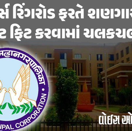 <span class="nnColorfulPostColor" style="color:rgb(0,0,0,1)">રાજકોટના રેસકોર્સ રિંગરોડ ફરતે શણગારયુકત લાઇટ ફિટ કરવામાં ચલકચલાણુ! શું ફરી એકવાર પ્રજાના પૈસાનું આંધણ થશે?</span>