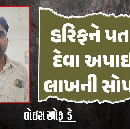 <span class="nnColorfulPostColor" style="color:rgb(0,0,0,1)">હરિફને પતાવી દેવા અપાઈ બે લાખની સોપારી! રાજકોટમાં રહેતા સ્ક્રેપના ધંધાર્થીનું યુપી-બિહાર સ્ટાઈલથી કારસ્તાન</span>
