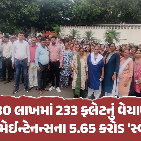 <span class="nnColorfulPostColor" style="color:rgb(0,0,0,1)">70થી 80 લાખમાં 233 ફ્લેટનું વેચાણ કર્યા બાદ મેન્ટેનન્સના 5.65 કરોડ ‘સ્વાહા’ : રાજકોટ કલેકટર-કમિશનરને રજૂઆત</span>