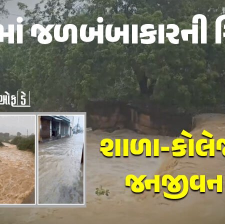 <span class="nnColorfulPostColor" style="color:rgb(0,0,0,1)">15 ઇંચ વરસાદથી કચ્છમા જળબંબાકારની સ્થિતિ : અનેક રસ્તા ધોવાયા,શાળા-કોલેજ બંધ, જનજીવન અસ્ત-વ્યસ્ત</span>
