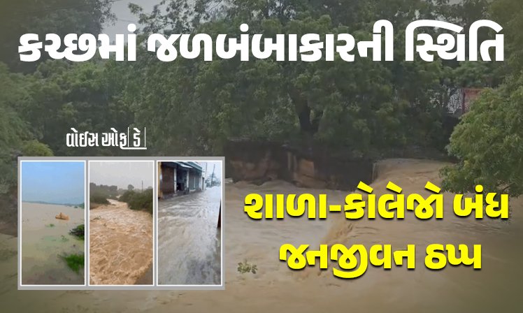 <span class="nnColorfulPostColor" style="color:rgb(0,0,0,1)">15 ઇંચ વરસાદથી કચ્છમા જળબંબાકારની સ્થિતિ : અનેક રસ્તા ધોવાયા,શાળા-કોલેજ બંધ, જનજીવન અસ્ત-વ્યસ્ત</span>