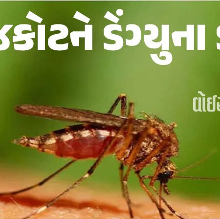 <span class="nnColorfulPostColor" style="color:rgb(0,0,0,1)">રાજકોટને ડેંગ્યુના ડંખ : હજુ નવેમ્બર સુધી ‘ત્રાસ’ રહેશે, એક સપ્તાહમાં વધુ પાંચ કેસ મળ્યા</span>