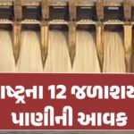 <span class="nnColorfulPostColor" style="color:rgb(0,0,0,1)">રાજકોટને ડેંગ્યુના ડંખ : હજુ નવેમ્બર સુધી ‘ત્રાસ’ રહેશે, એક સપ્તાહમાં વધુ પાંચ કેસ મળ્યા</span>