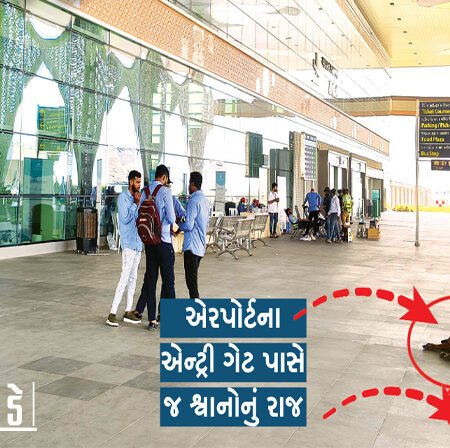 <span class="nnColorfulPostColor" style="color:rgb(0,0,0,1)">રેન્કિંગ માટે પણ રાજકોટ એરપોર્ટનું 3 લાખનું આંધણ : છતાં પણ અસુવિધાઓની હારમાળા, એન્ટ્રીમાં શ્વાનો કરે છે સ્વાગત</span>