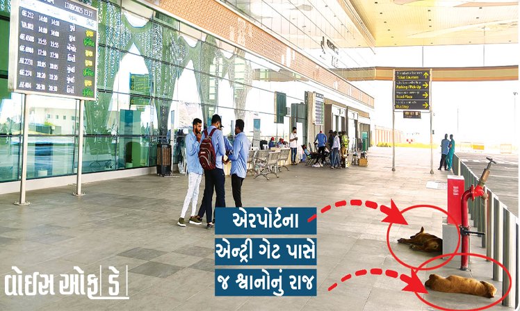 <span class="nnColorfulPostColor" style="color:rgb(0,0,0,1)">રેન્કિંગ માટે પણ રાજકોટ એરપોર્ટનું 3 લાખનું આંધણ : છતાં પણ અસુવિધાઓની હારમાળા, એન્ટ્રીમાં શ્વાનો કરે છે સ્વાગત</span>