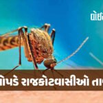 <span class="nnColorfulPostColor" style="color:rgb(0,0,0,1)">ટ્રમ્પ નીતિ સામે ડ્રેગનનો માસ્ટર સ્ટ્રોક : 1 ઓક્ટોબરથી આપશે સરળ K વિઝા, વૈશ્વિક ટેકનોલોજી રેસમાં USને મ્હાત કરવાની વ્યુહરચના</span>