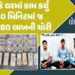 <span class="nnColorfulPostColor" style="color:rgb(0,0,0,1)">માછલી મોતી શોધે તેમ એપ,વેબમાંથી બગ શોધી કાઢે છે સૌરાષ્ટ્રનો ગામઠી યુવક! 3 વર્ષ સુધી સર્ચિંગ, સર્ફિંગ કરીને લીધું નોલેજ</span>