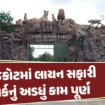<span class="nnColorfulPostColor" style="color:rgb(0,0,0,1)">1372 કરોડ રૂપિયા ‘પાણી’માં છતાં પરેશાનીનો પાર નથી! રાજકોટમાં DI પાઇપલાઇન માટે ખોદકામ કર્યું છતાં હજુ 25 સ્થળોએ કામ બાકી</span>
