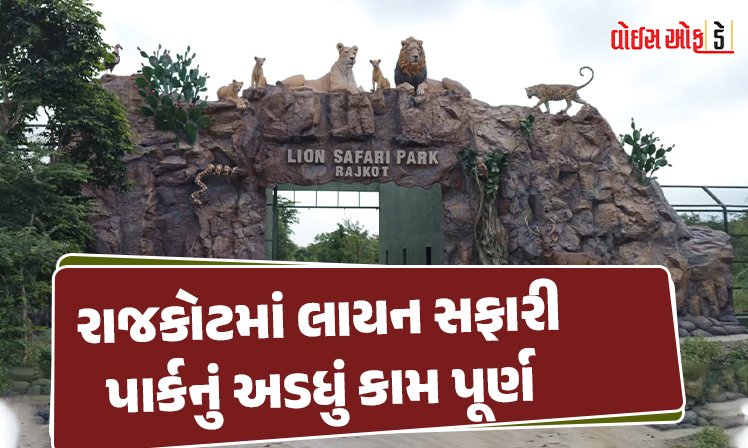 <span class="nnColorfulPostColor" style="color:rgb(0,0,0,1)">રાજકોટમાં લાયન સફારી પાર્કનું અડધું કામ પૂરુંઃ જાણો ક્યારે ખુલ્લો મુકાશે આ પાર્ક, જીપમાં બેસીને થશે સિંહ દર્શન</span>