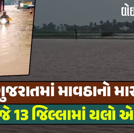 <span class="nnColorfulPostColor" style="color:rgb(0,0,0,1)">સમગ્ર ગુજરાતમાં માવઠાનો માર : આજે 13 જિલ્લામાં યલો એલર્ટ, માવઠાને પગલે પ્રધાનોને દોડાવતા CM, છેલ્લાં 24 કલાકમાં 236 તાલુકામાં વરસાદ</span>