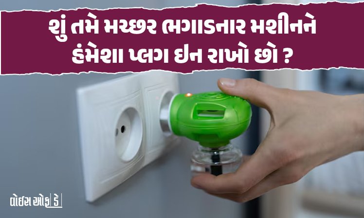 <span class="nnColorfulPostColor" style="color:rgb(0,0,0,1)">શું તમે મચ્છર ભગાડનાર મશીનને હંમેશા પ્લગ ઇન રાખો છો? આ એક આદતથી તમારા ખિસ્સા પર પડશે અસર</span>