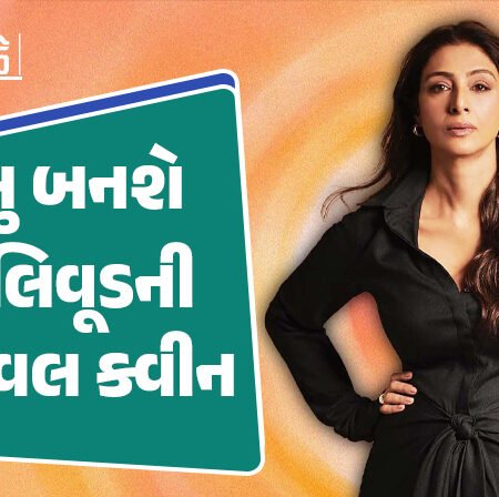 <span class="nnColorfulPostColor" style="color:rgb(0,0,0,1)">તબુ બનશે બોલિવૂડની સિક્વલ ક્વીન : આગામી સમયમાં 6 સિક્વલ ફિલ્મ સાથે અભિનેત્રી કરશે શાનદાર કમબેક</span>