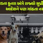 <span class="nnColorfulPostColor" style="color:rgb(0,0,0,1)">હવે ટ્રાફિક દંડ ભરવા માટે RTOના ધક્કા નહીં ખાવા પડે! ભારત બિલ પેમેન્ટ સિસ્ટમ (BBPS) દ્વારા ઓનલાઇન ચુકવણીની સુવિધા શરૂ</span>