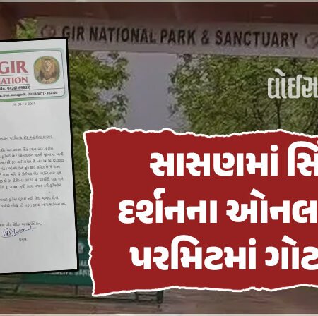 <span class="nnColorfulPostColor" style="color:rgb(0,0,0,1)">સાસણમાં સિંહદર્શન માટે ઓનલાઈન સફારી બુકિંગમાં 2 કરોડના કૌભાંડનો આરોપ! 5000ની પરમીટ 25,000માં વેંચાઈ</span>