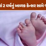 <span class="nnColorfulPostColor" style="color:rgb(0,0,0,1)">જેસલમેરમાં બસ બની અગનગોળો : 21 મુસાફર જીવતા ભુંજાયા, DNA સેમ્પલથી થશે મૃતદેહોની ઓળખ, PM મોદીએ સહાયની કરી જાહેરાત  </span>